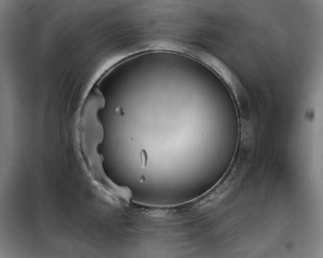 X0000098111048200804041339