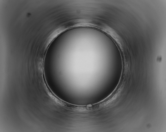 X0000098111049200804041339