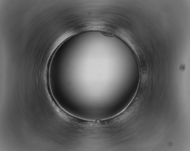 X0000098111050200804041339