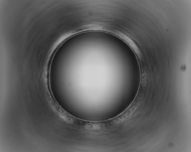 X0000098111051200804041339