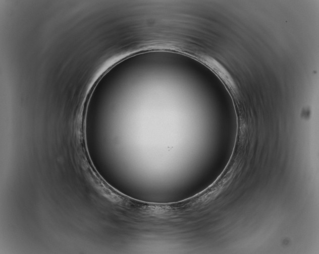 X0000098111052200804041339