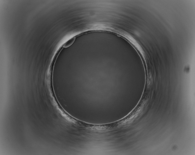 X0000098111053200804041339