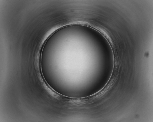 X0000098111054200804041339