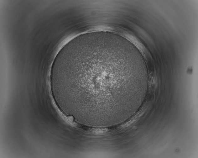 X0000098111055200804041339