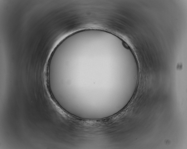 X0000098111056200804041339
