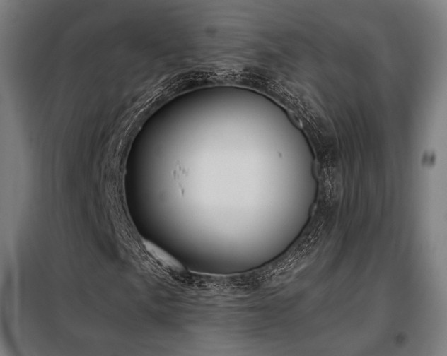 X0000098111057200804041338