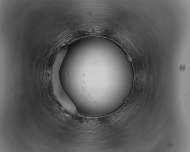 X0000098111058200804041338