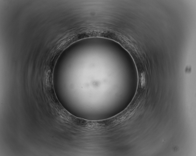 X0000098111059200804041338