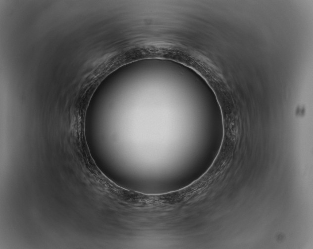 X0000098111061200804041338