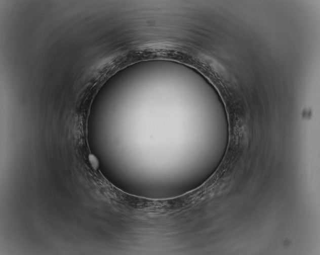 X0000098111062200804041338