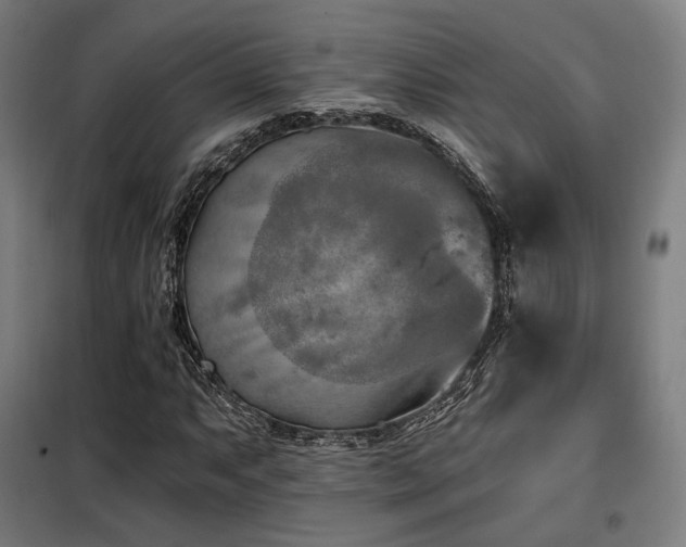 X0000098111063200804041338