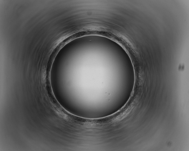 X0000098111065200804041338