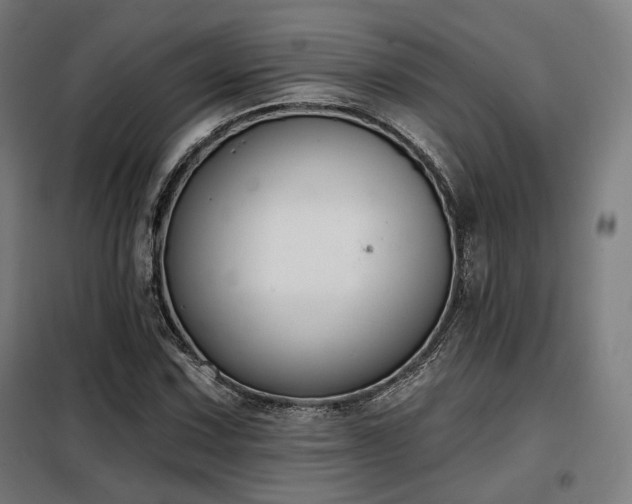 X0000098111067200804041338