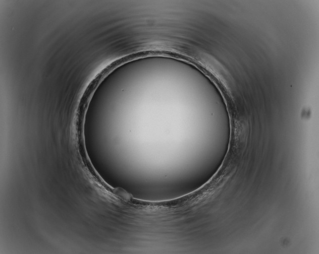 X0000098111068200804041338
