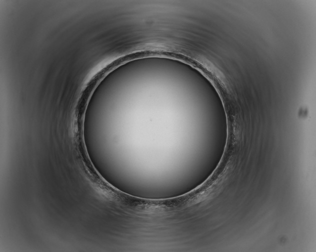 X0000098111070200804041338