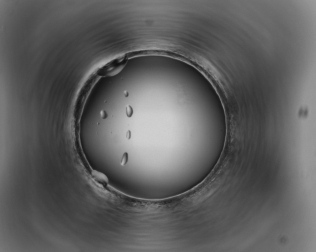 X0000098111072200804041338