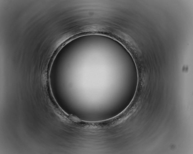 X0000098111073200804041338