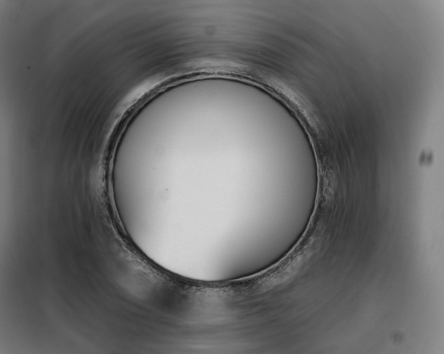 X0000098111074200804041338