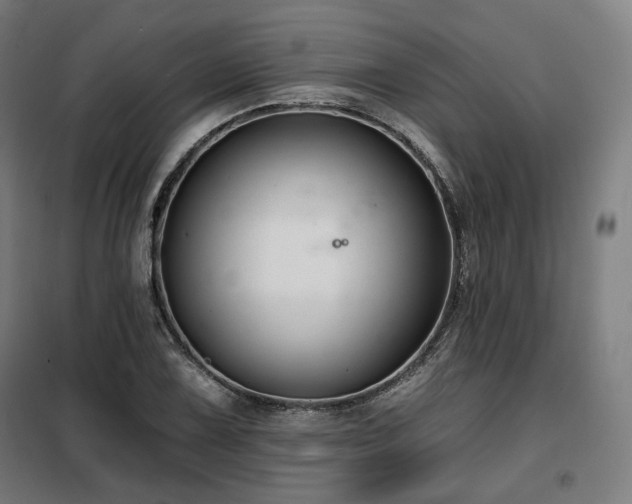 X0000098111075200804041338