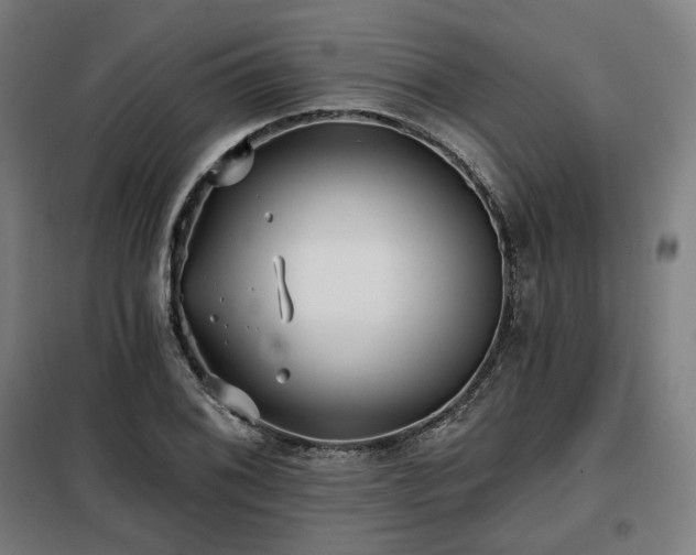 X0000098111076200804041338