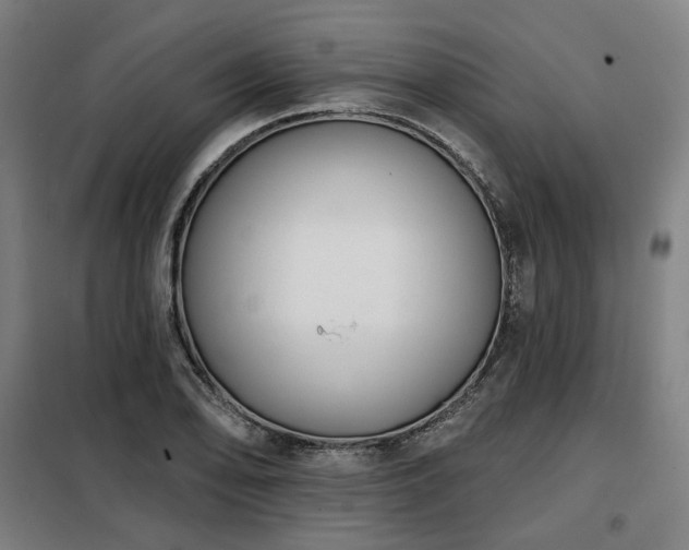 X0000098111078200804041338