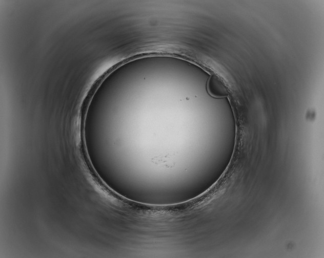 X0000098111079200804041338