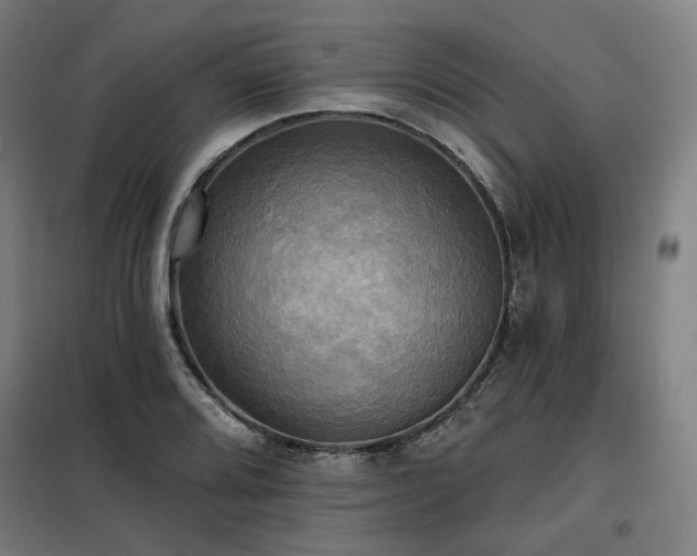 X0000098111080200804041338