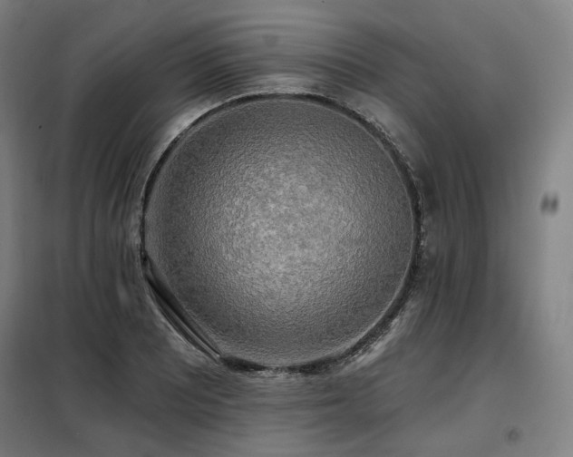 X0000098111081200804041338