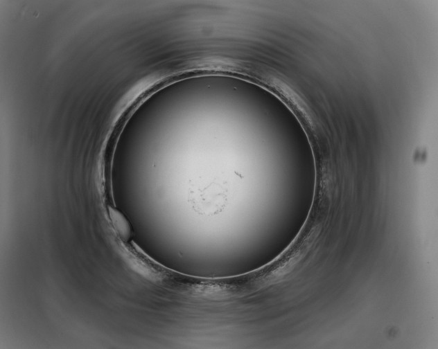 X0000098111082200804041338