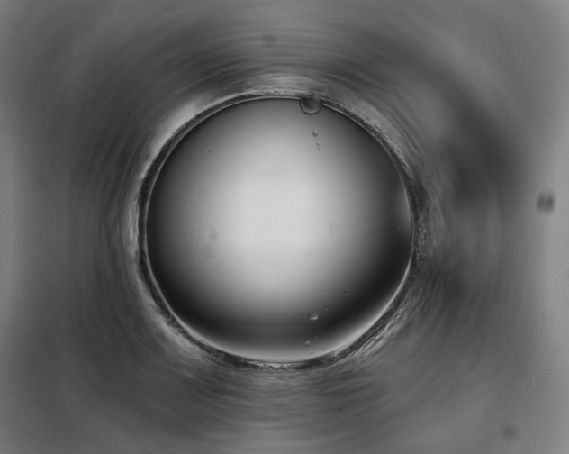 X0000098111083200804041338