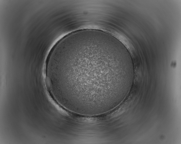 X0000098111084200804041338