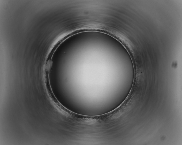 X0000098111085200804041338