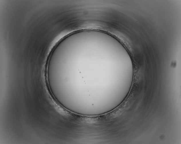 X0000098111086200804041338