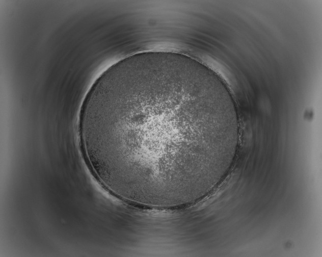 X0000098111087200804041338