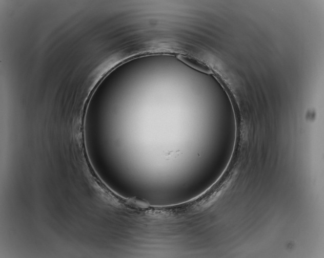 X0000098111089200804041338