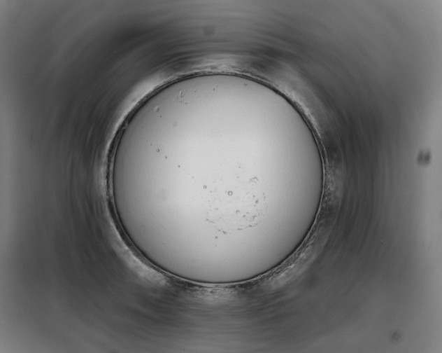 X0000098111090200804041338