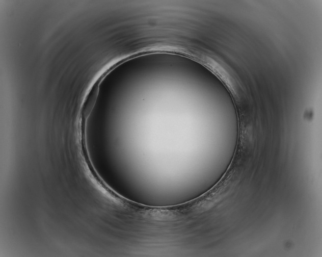 X0000098111092200804041338