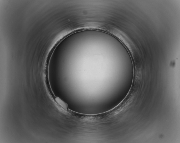 X0000098111093200804041338