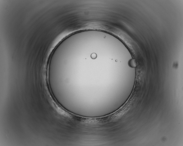 X0000098111094200804041338