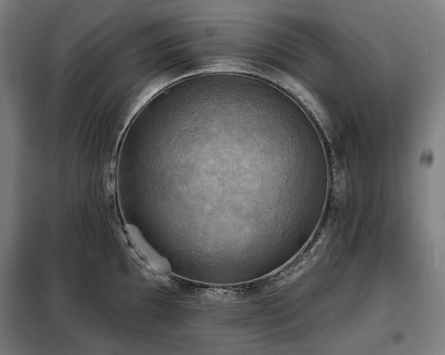 X0000098111097200804041338