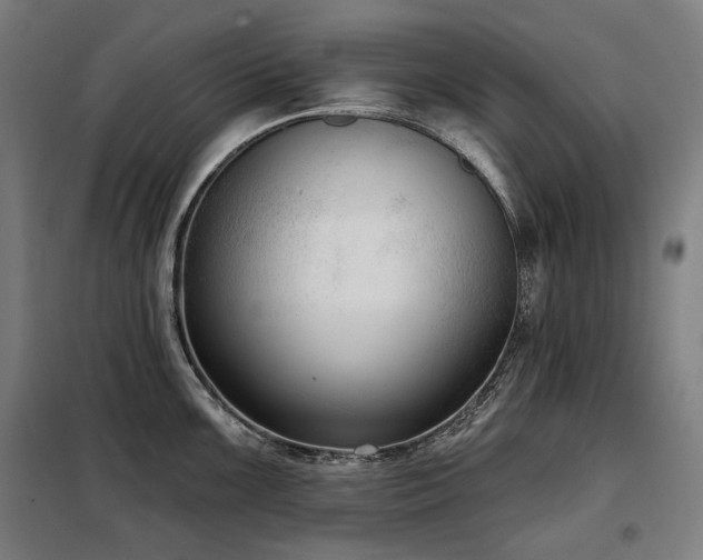 X0000098111099200804041338