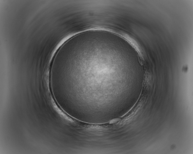 X0000098111100200804041338