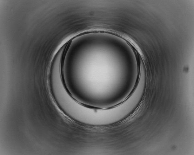 X0000098111101200804041338