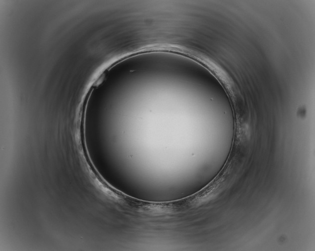 X0000098111102200804041338