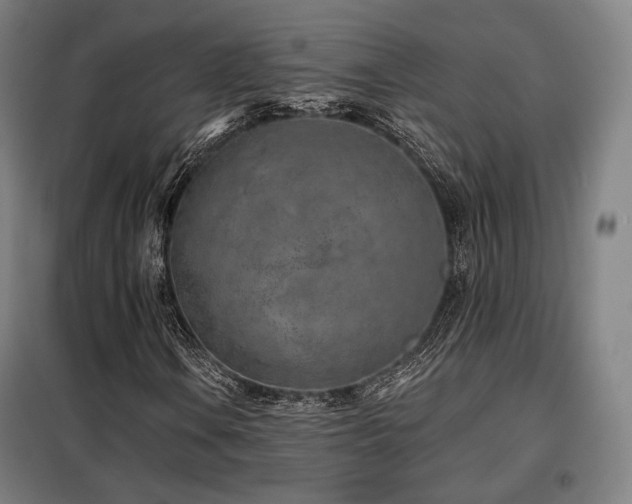 X0000098111106200804041337