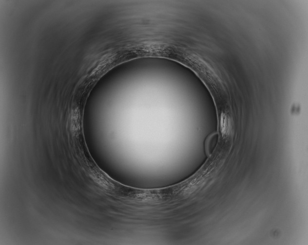 X0000098111107200804041337