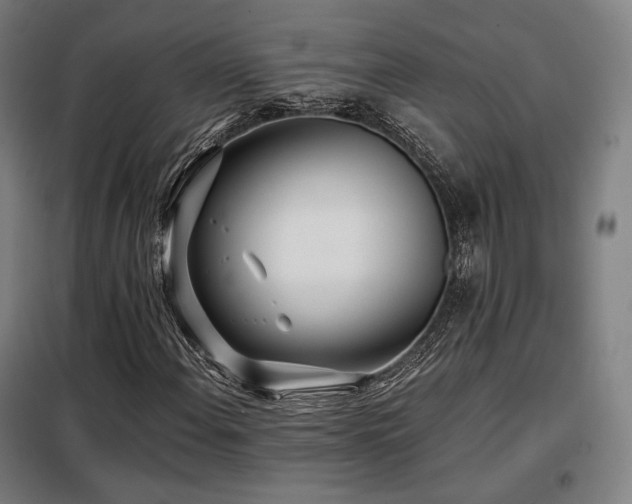 X0000098111108200804041337