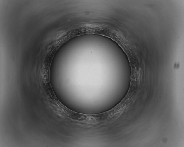 X0000098111109200804041337