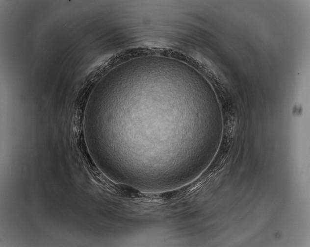 X0000098111110200804041337