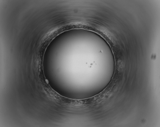 X0000098111111200804041337